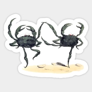 Crabs dancing ballet Sticker